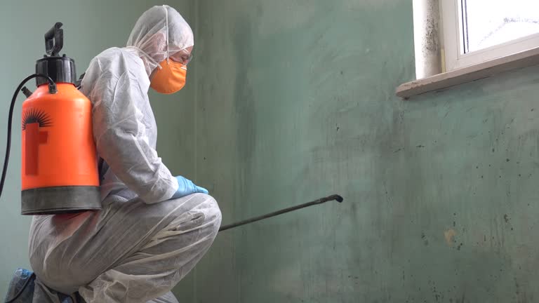 Best Biohazard Mold Removal  in Kenilworth, NJ